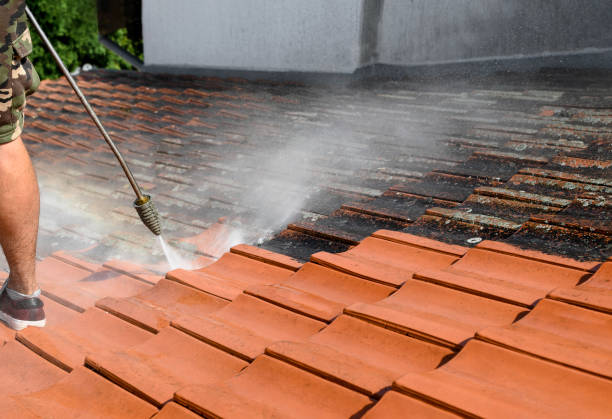 Best Exterior Home Cleaning  in Bargaintown, NJ