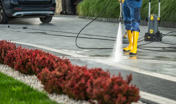 Best Roof Power Washing Services  in Bargaintown, NJ